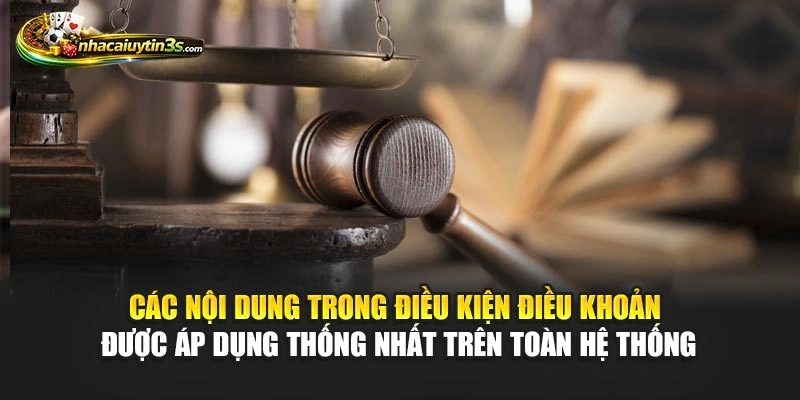 Các nội dung trong điều kiện điều khoản được áp dụng thống nhất trên toàn hệ thống
